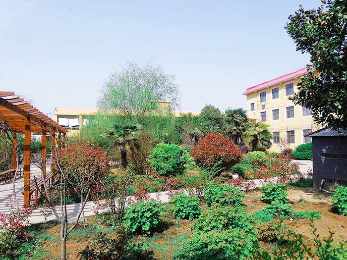 院內(nèi)綠意盎然